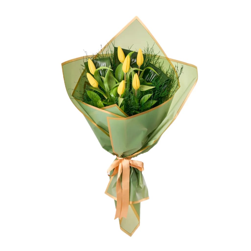 Salon Bitkileri Lüks Mix