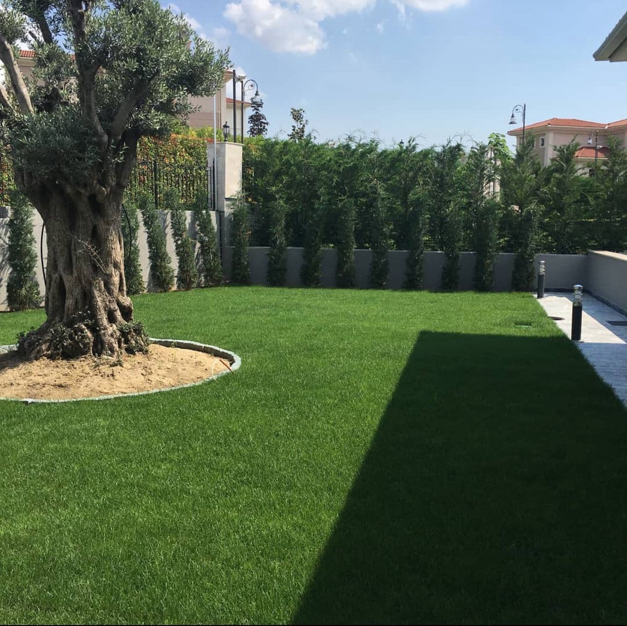 Peyzaj Tasarım Keşif ve Konsept